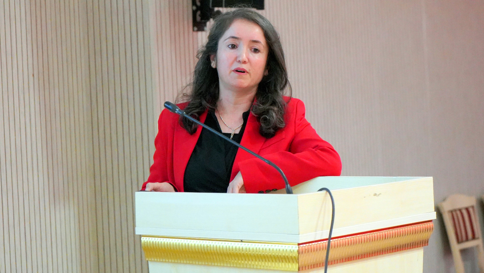 Üniversitemizde “Türevli Halkaların Değişmeliliği Üzerine” Başlıklı Seminer Gerçekleştirildi